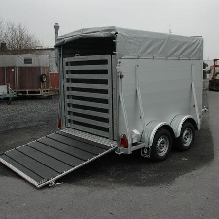 Aufnahme eines Pferdeanhängers