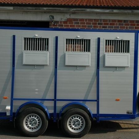 Aufnahme eines Pferdeanhängers mit blauen Zierleisten